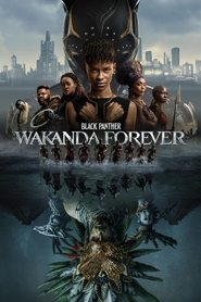 BlackPanther (2022)